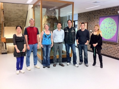 Paulsen Lab
